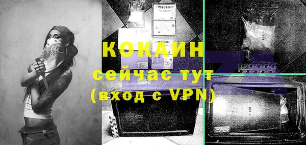 молекула духа Абинск