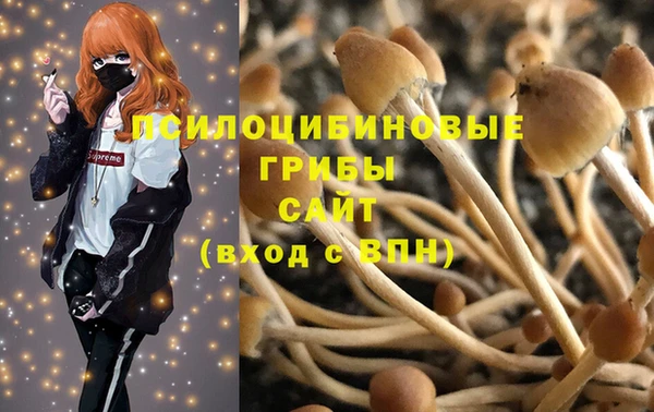 PSILOCYBIN Абдулино