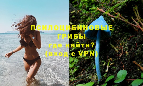 PSILOCYBIN Абдулино