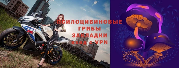 PSILOCYBIN Абдулино