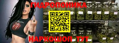 a pvp Рыбинск