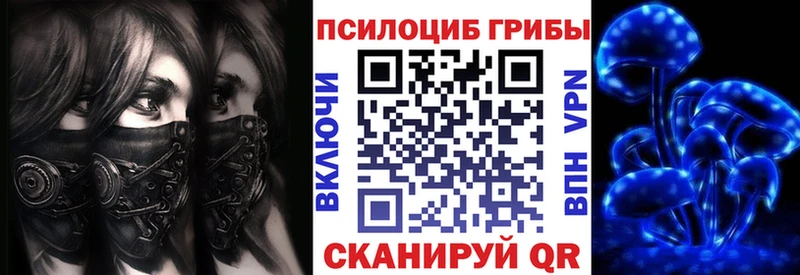 блэк спрут сайт  Юрга  Галлюциногенные грибы Psilocybe 
